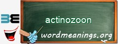 WordMeaning blackboard for actinozoon